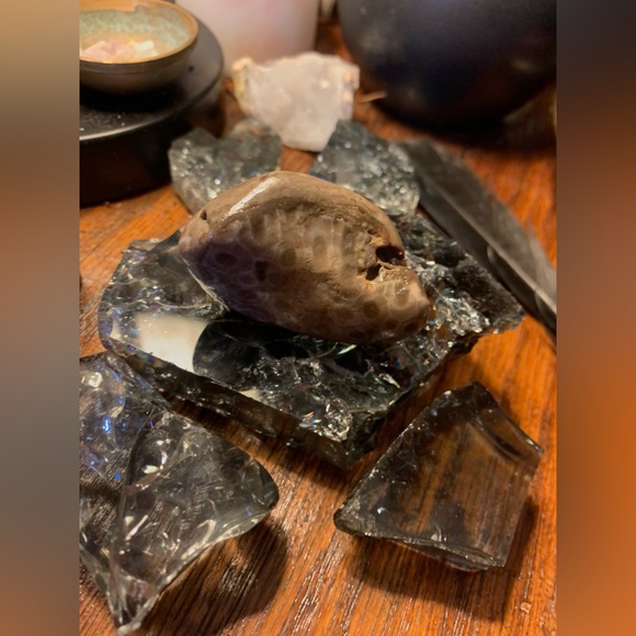 Petoskey stone - Picture 1 of 4